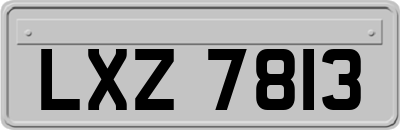 LXZ7813