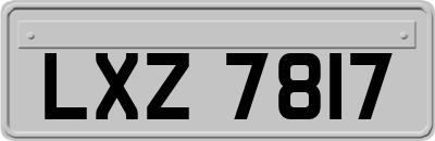 LXZ7817