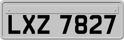 LXZ7827