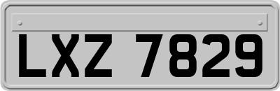 LXZ7829