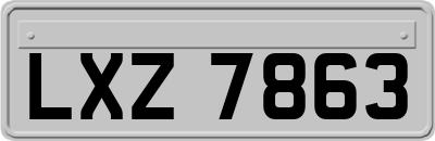 LXZ7863