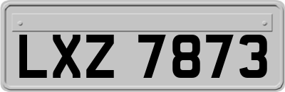LXZ7873
