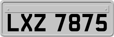 LXZ7875