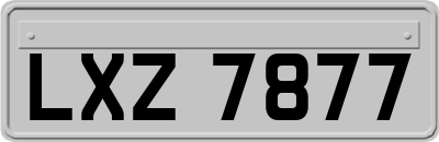 LXZ7877