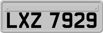 LXZ7929