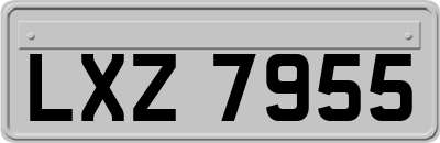 LXZ7955