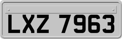 LXZ7963