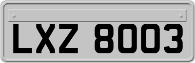 LXZ8003