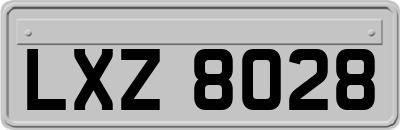 LXZ8028
