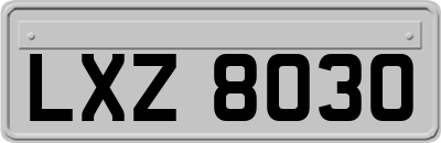LXZ8030
