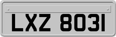 LXZ8031