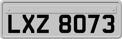 LXZ8073