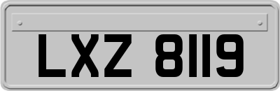 LXZ8119