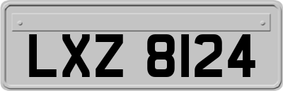 LXZ8124