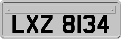 LXZ8134
