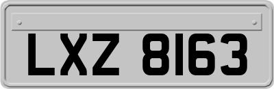 LXZ8163