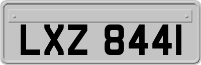 LXZ8441