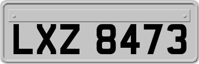 LXZ8473