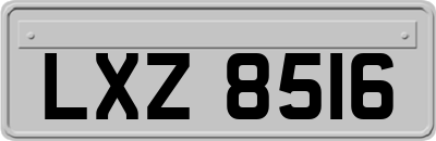 LXZ8516