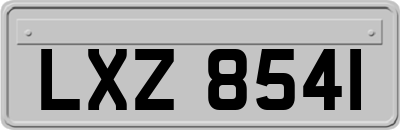 LXZ8541