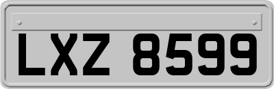 LXZ8599