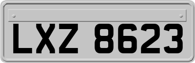 LXZ8623