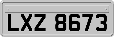 LXZ8673