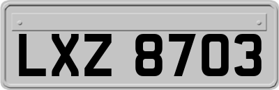 LXZ8703