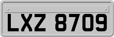 LXZ8709