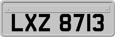 LXZ8713
