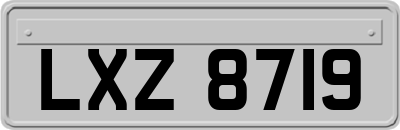 LXZ8719