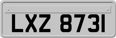 LXZ8731