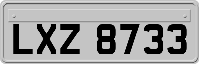 LXZ8733