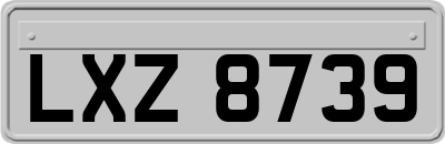 LXZ8739
