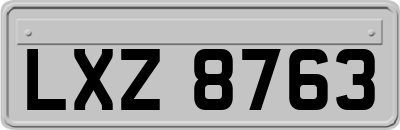 LXZ8763