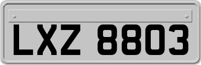 LXZ8803