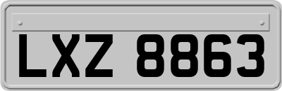 LXZ8863