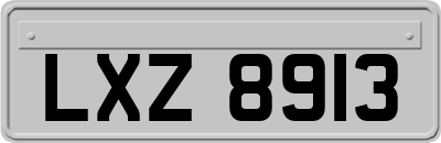 LXZ8913