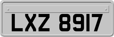LXZ8917