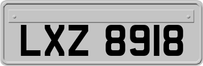 LXZ8918