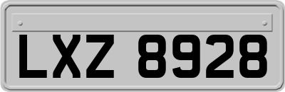 LXZ8928