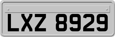 LXZ8929