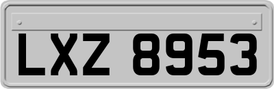 LXZ8953