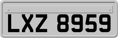 LXZ8959
