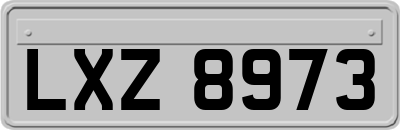 LXZ8973