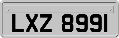 LXZ8991