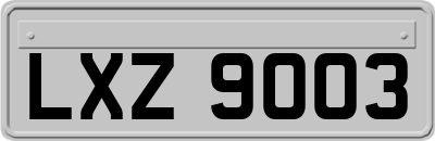 LXZ9003
