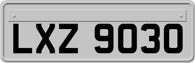 LXZ9030