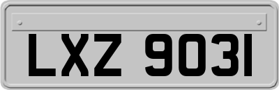LXZ9031