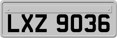 LXZ9036